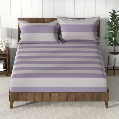 Nautica Super Soft 100% Cotton King Bedsheet and 2 Pillow Covers | Set of 3 | Checks | Purple, Grey