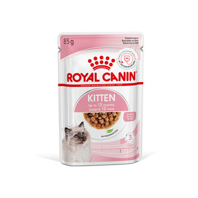 Kitten Cat Wet Food