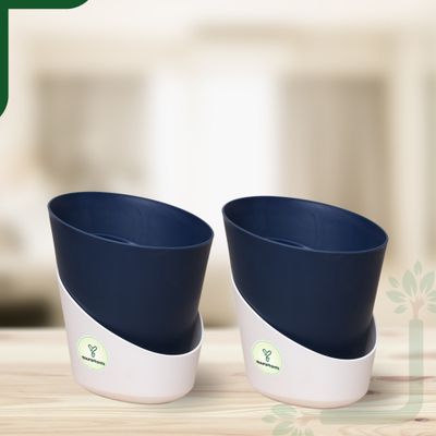 Atlantis - 4 Inch - Navy Blue Pot | Pack Of 2