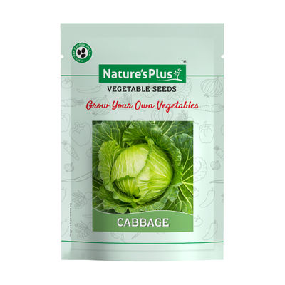 Cabbage - Seeds
