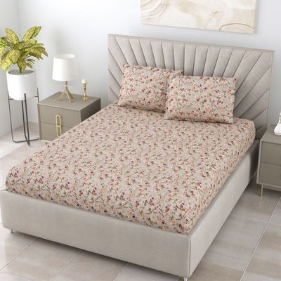 Florentine 144 TC 100% Cotton Light Brown Super King Size Bedsheet 2 Pillow Covers