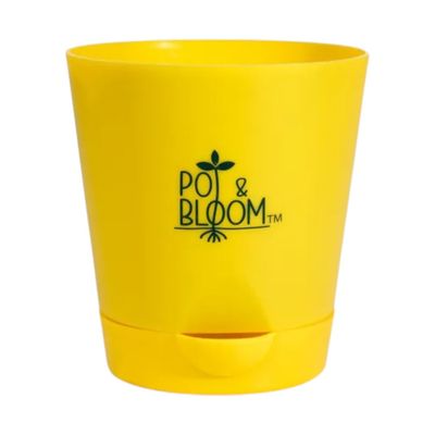 Pot And Bloom 4 Inch Self Watering Pot - Yellow