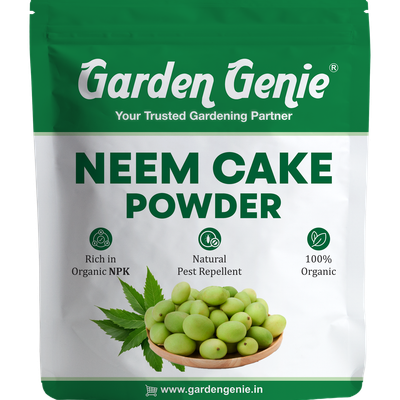 Neem Cake Powder Fertilizer | Neem Powder Manure for Plant Care from Pests