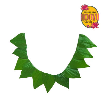 Hoovu Fresh Betel Leaf Mala