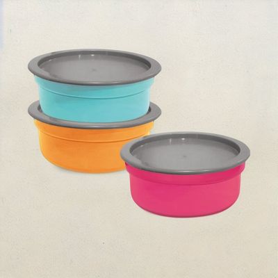 Asian Plastoware Dynamic Airseal Container Assorted - 3 Pcs