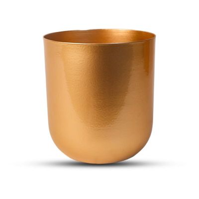 Reva Home Decor Metal Vase I Flower Pot/Indoor Plant Vase I Desktop/Bedroom Corner Table | Gold | 12 CM