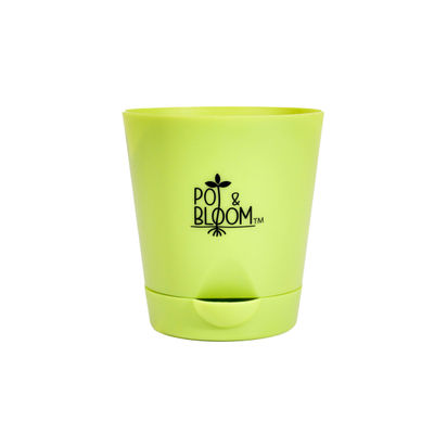 Pot And Bloom 4 Inch Self Watering Pot - Green