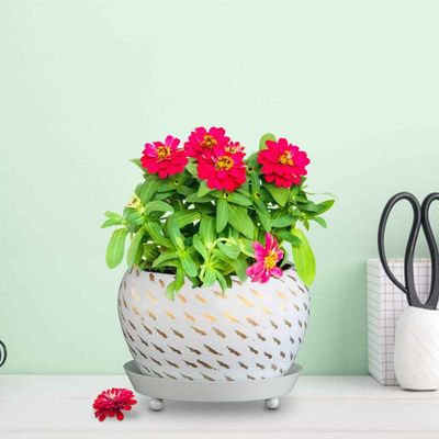 Golden Decorative Planter Bowl with Saucer | Tabletop Flower Pot for Home Decor