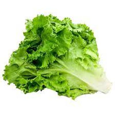 Deep Rooted Residue Free Lettuce Green