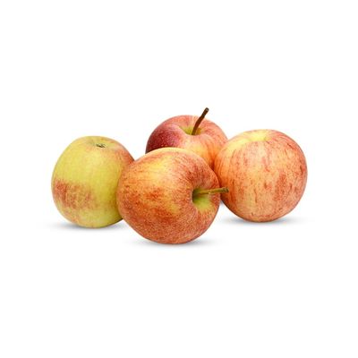 Deep Rooted Baby Apple Shimla