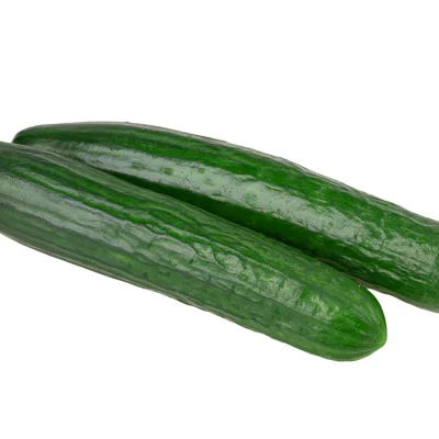 Deep Rooted Residue Free English Cucumber