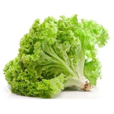 Residue Free Lettuce Green