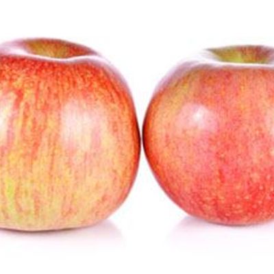 Washington Apple Fuji