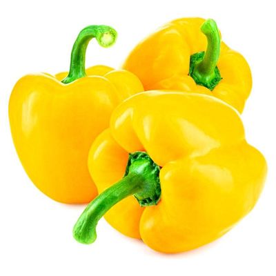 Live Organic Yellow Capsicum