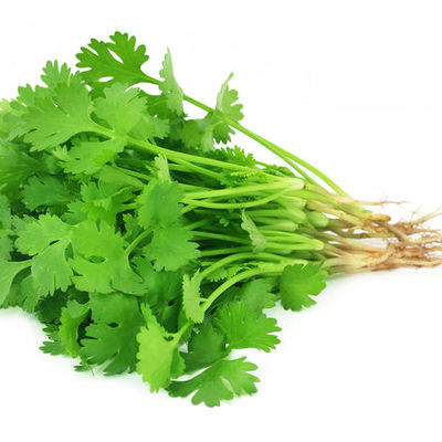 Deep Rooted Residue Free Coriander