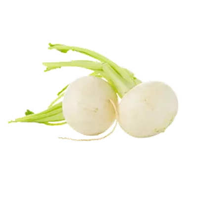 Deep Rooted White Turnip