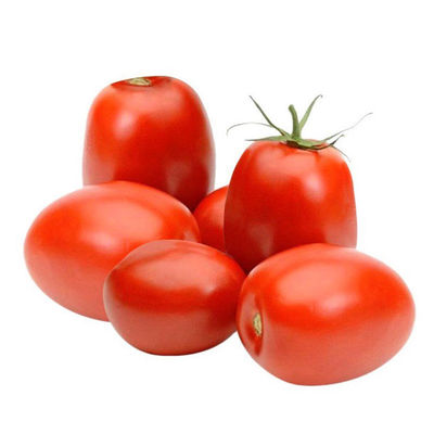 Deep Rooted Residue Free Tomato Hybrid