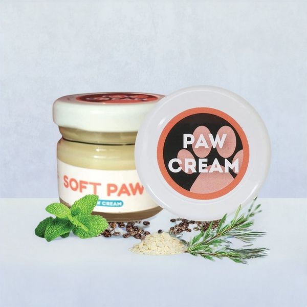 Soft paws near me outlet
