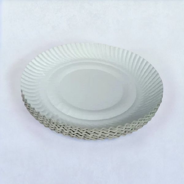 Disposable plates near me outlet