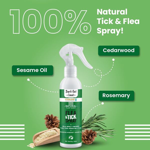Out natural flea spray outlet