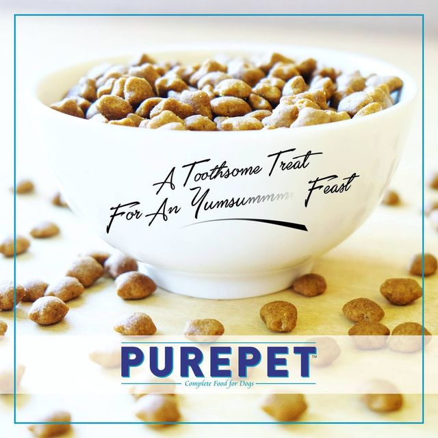 Purepet cat food offer 2025