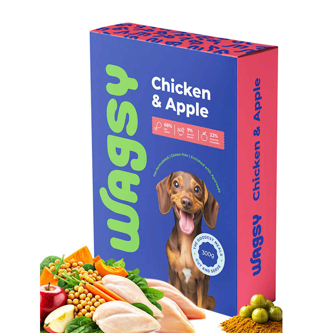Wagsy - Chicken & Apple - Buy at ₹196 Online | Instant Delivery