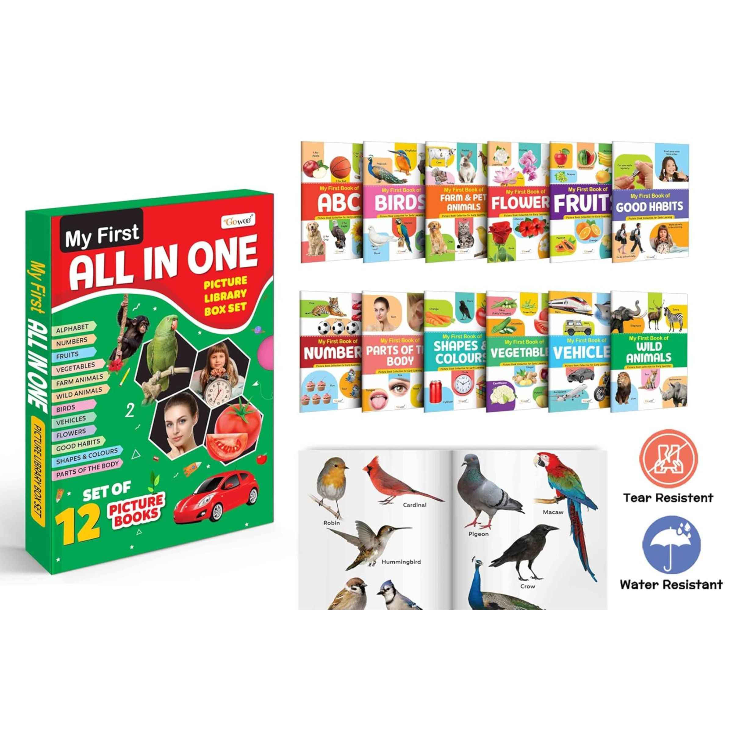 My First All in One Picture Library Box of 12 - Buy at ₹209