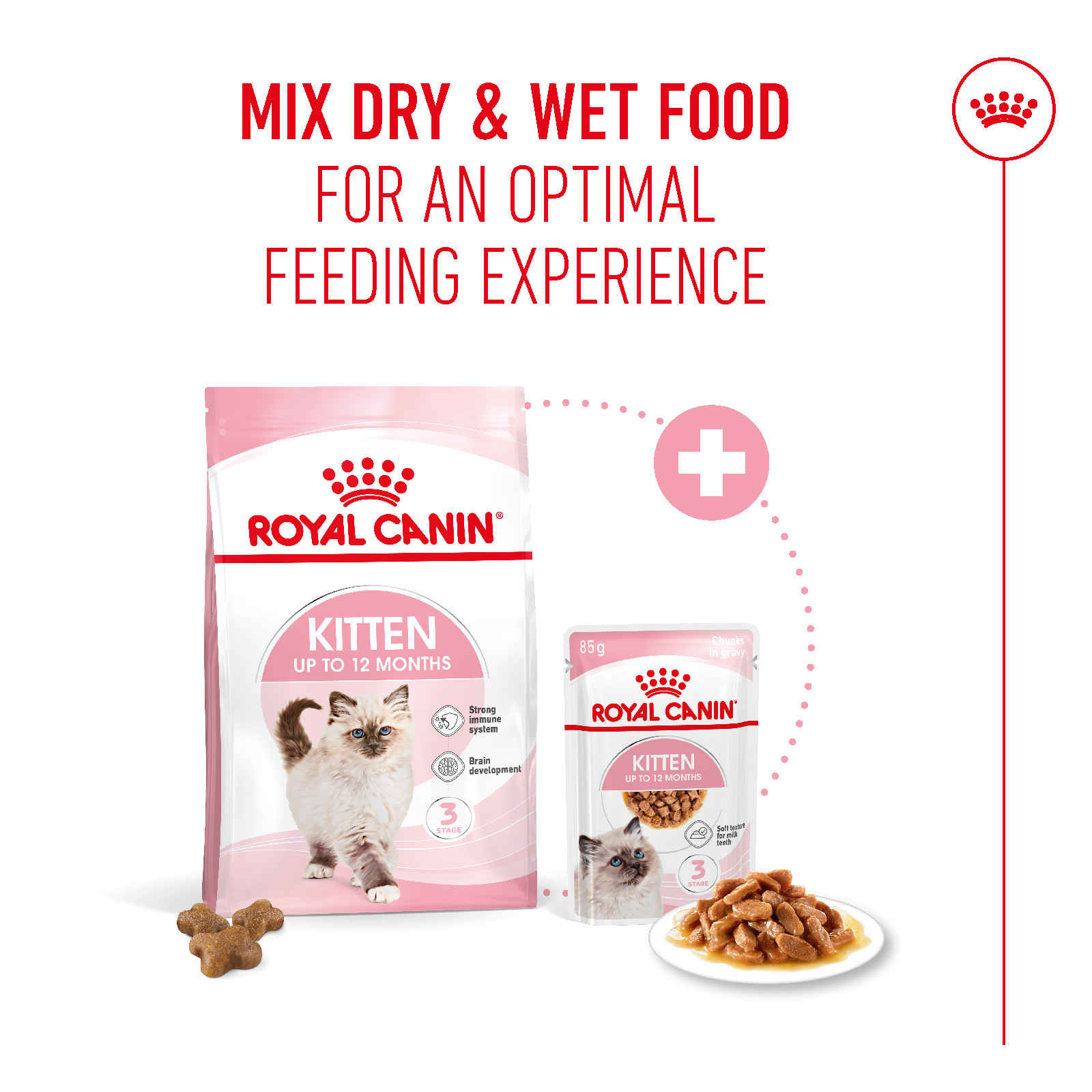 Royal Canin Kitten 36 Cat Dry Food 2kg - Buy at ₹2059 Online