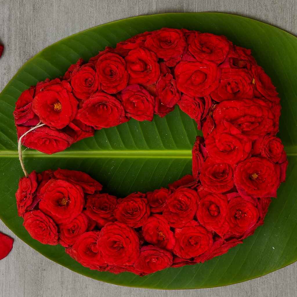 Flowers & Leaves Online in Noida - Buy Flowers & Leaves Near You
