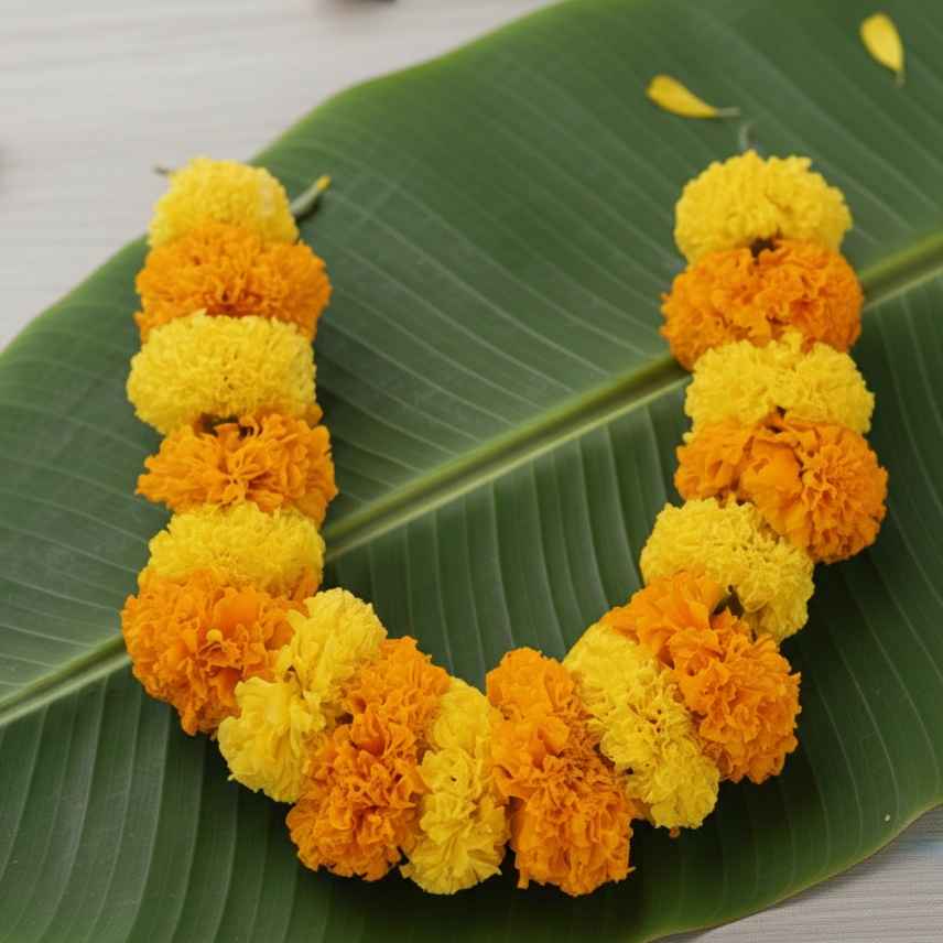 Marigold Garland 45 cm - Buy at ₹48 Online | Instant Delivery - Zepto