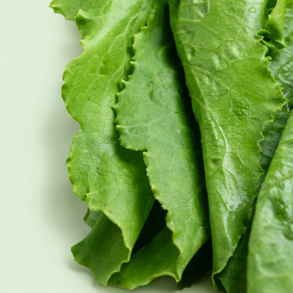 Bok Choy (Pak Choi) - Buy at ₹45 Online | Instant Delivery - Zepto