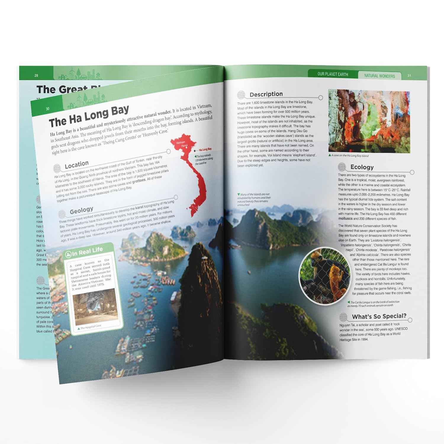 Our Planet Earth - Knowledge Encyclopedia Boxed Set (Set Of 6