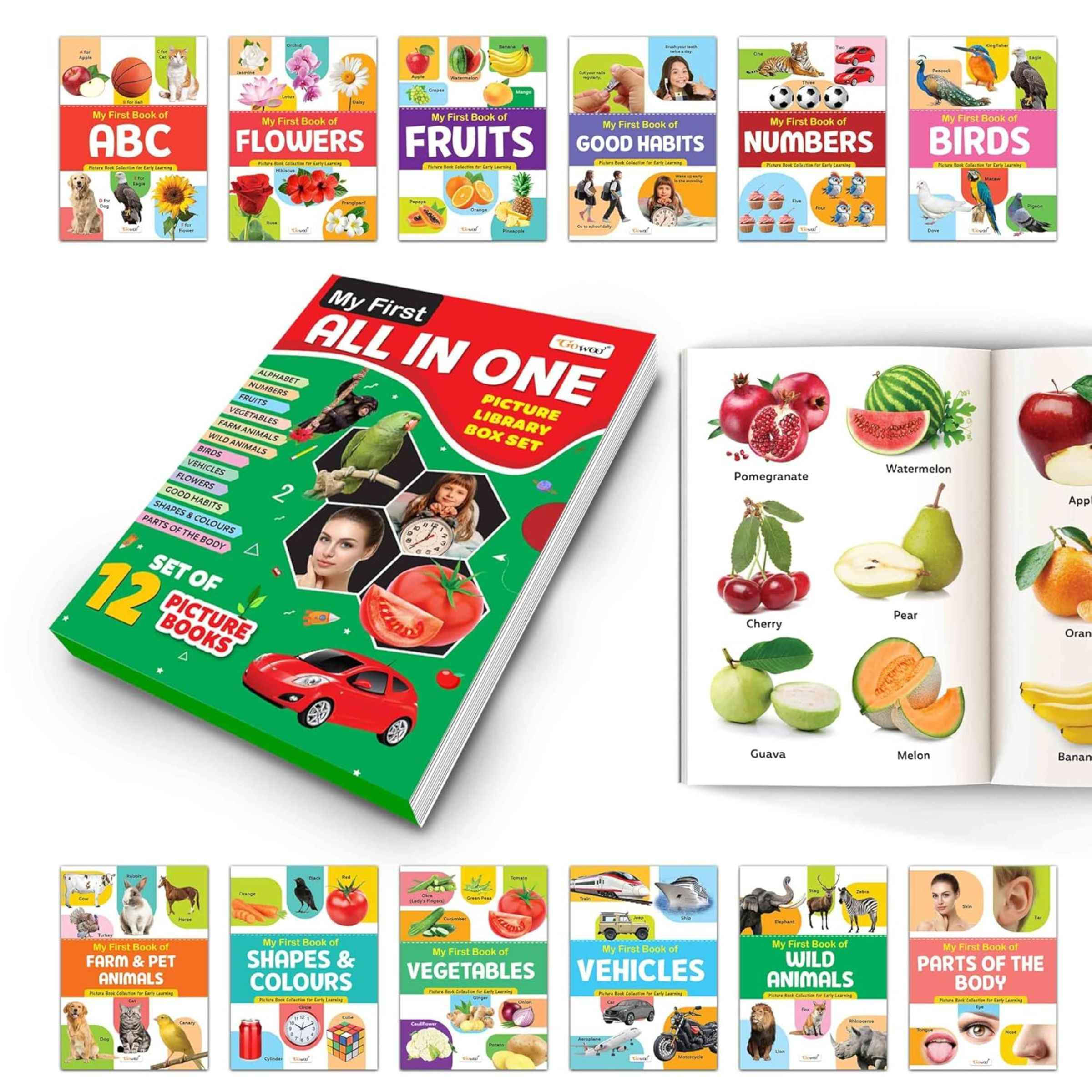 My First All in One Picture Library Box of 12 - Buy at ₹209
