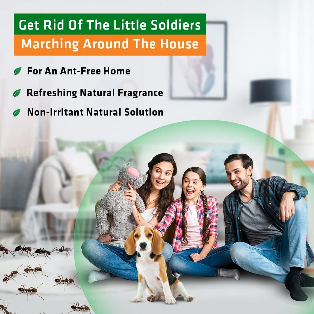 Herbal Strategi Ant Repellent