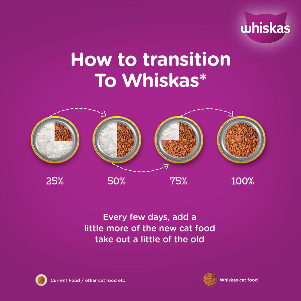 Whiskas Kitten Mackerel Flavour Dry Cat Food