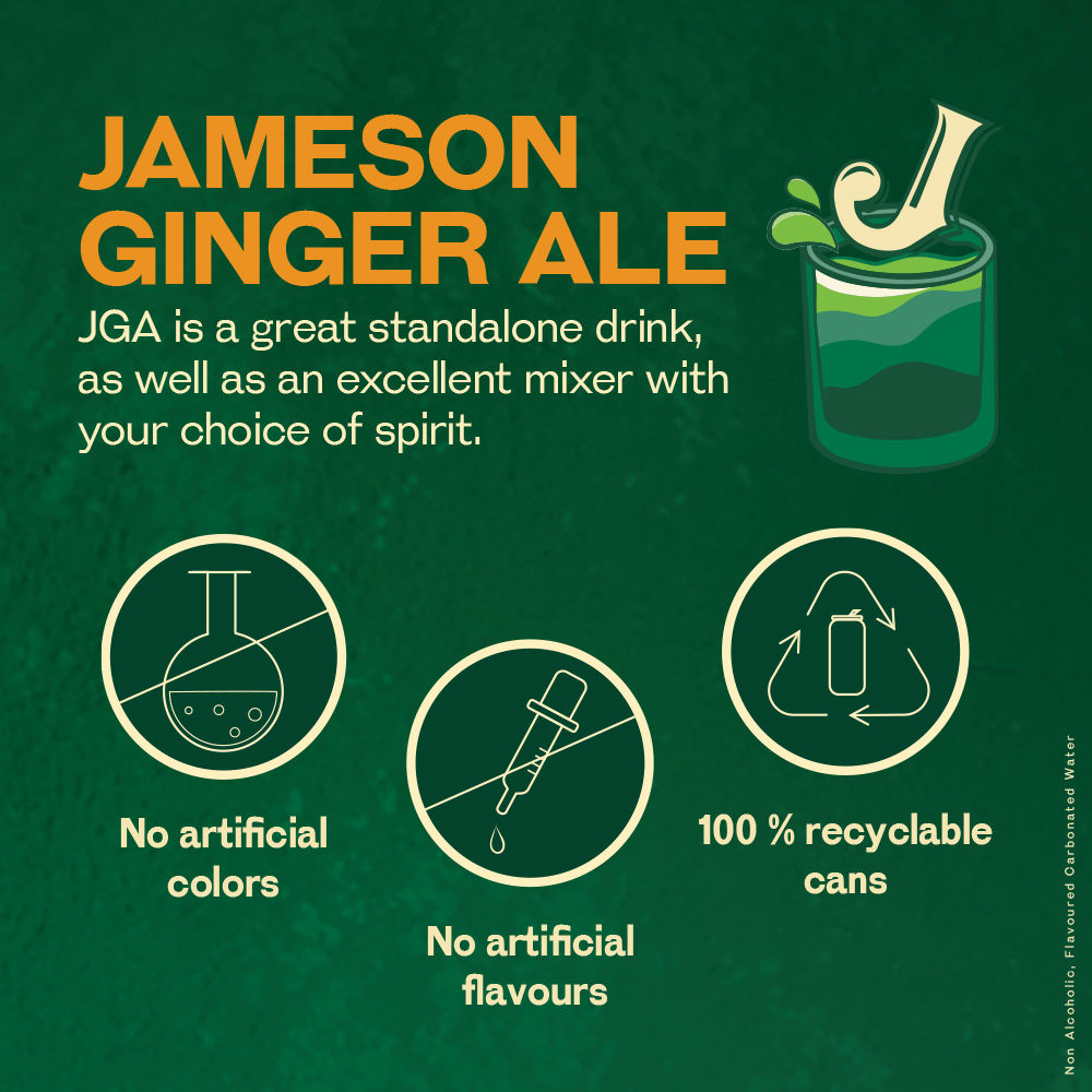 Jameson Ginger Ale Can 250 ml Combo