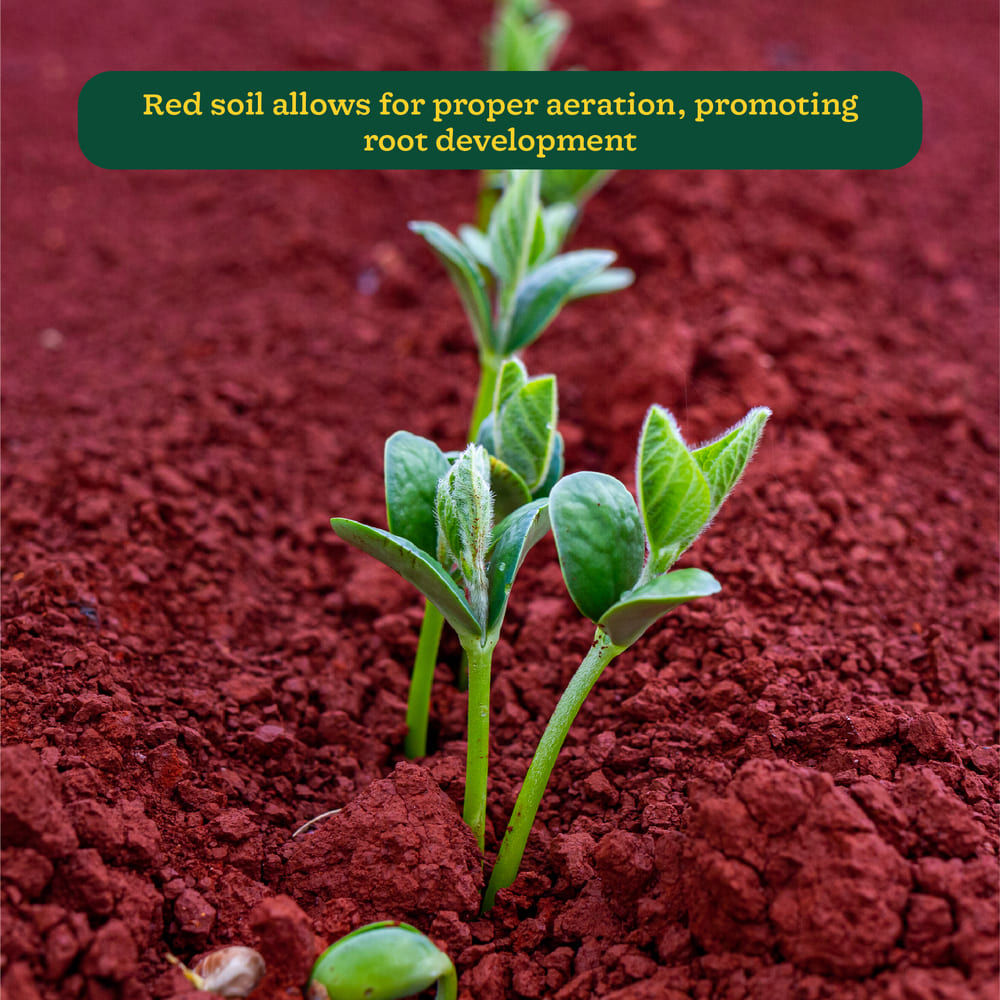 Ugaoo Garden Red Soil