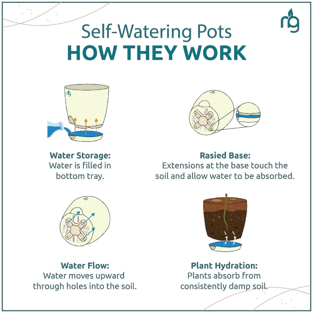 Nurturing Green - Self Watering Pots for Plants | Set of 10 | White | Size: 11.5cm x 11cm
