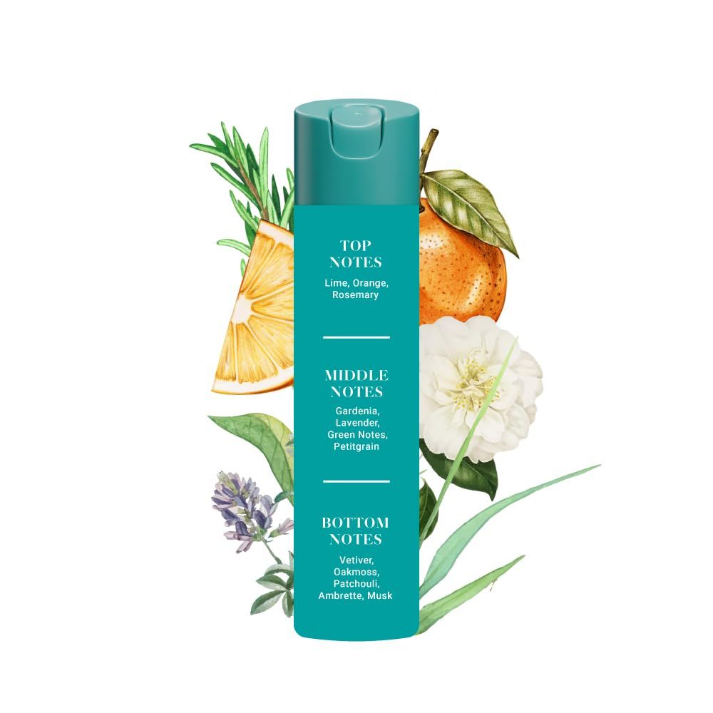 Adeha Air Freshener Whispering Woods Pouch (20g) & Adeha Room Freshener Spray Waves Of Serenity (218ml) Combo