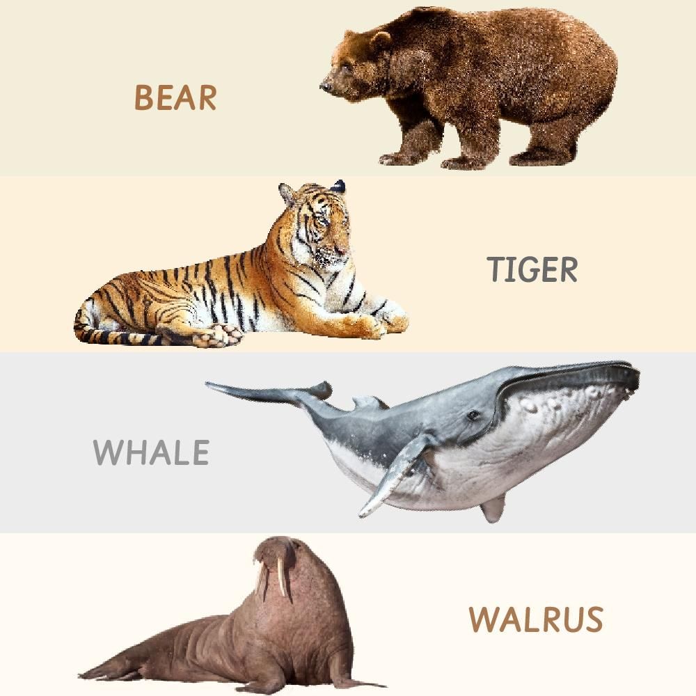 Ariro Toys Rotating Puzzle -Mammals