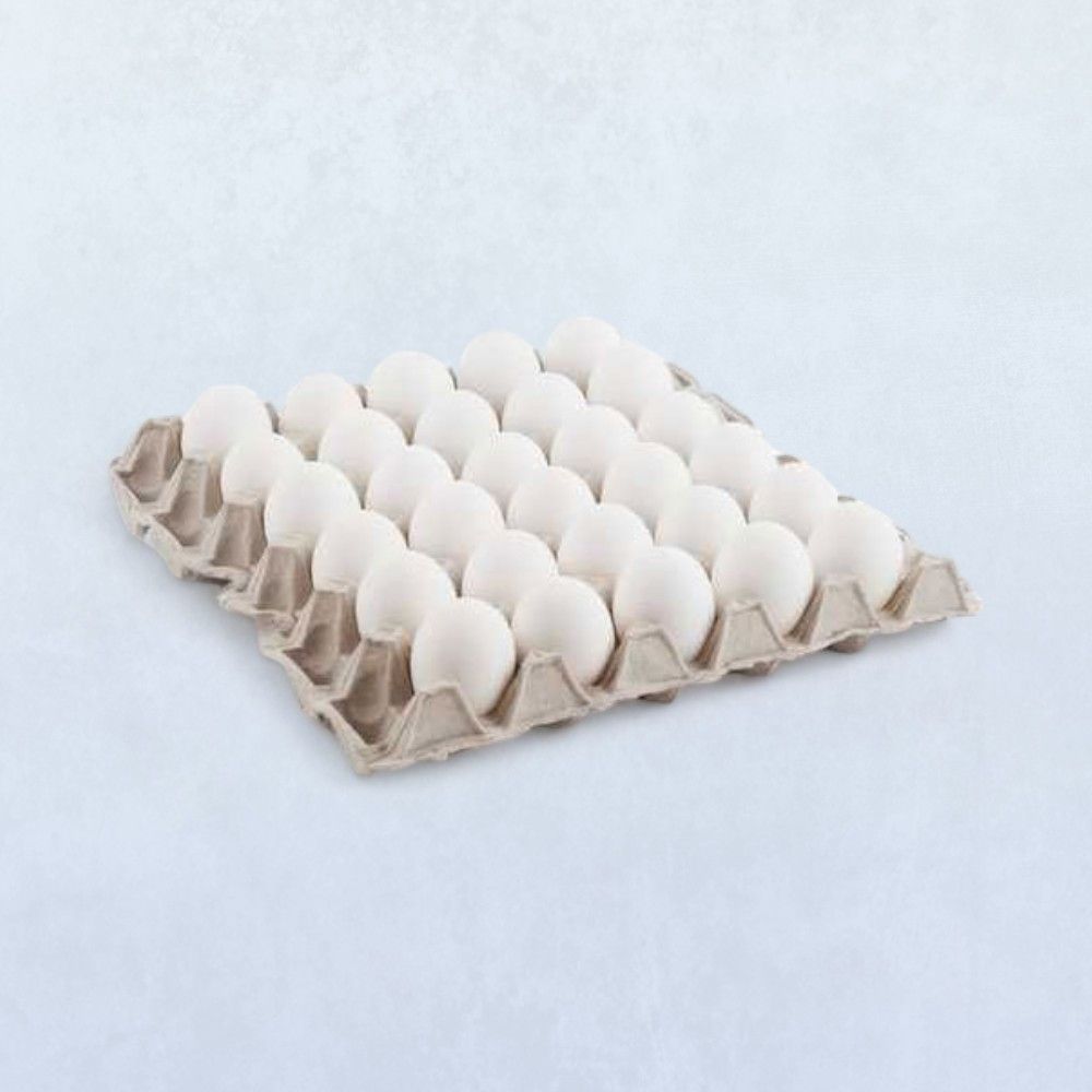 K K White Egg