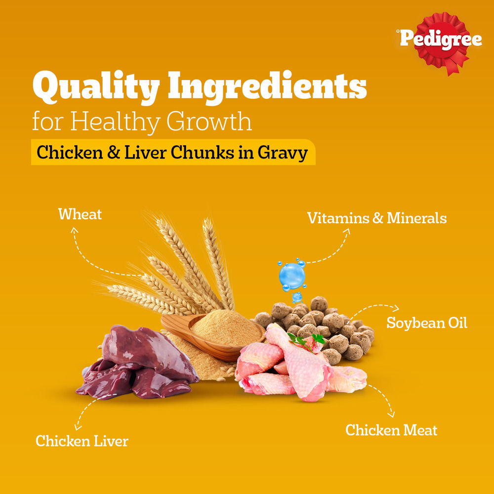 Pedigree Puppy Chicken & Liver Chunks In Gravy Wet Dog Food