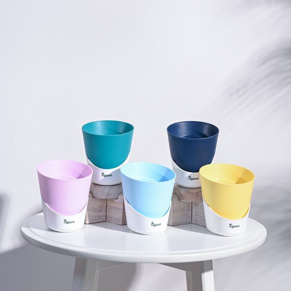 Ugaoo Atlantis Self Watering Multicolour Planter - 4 Inch Plant Container Set (Pack Of 5, Plastic)