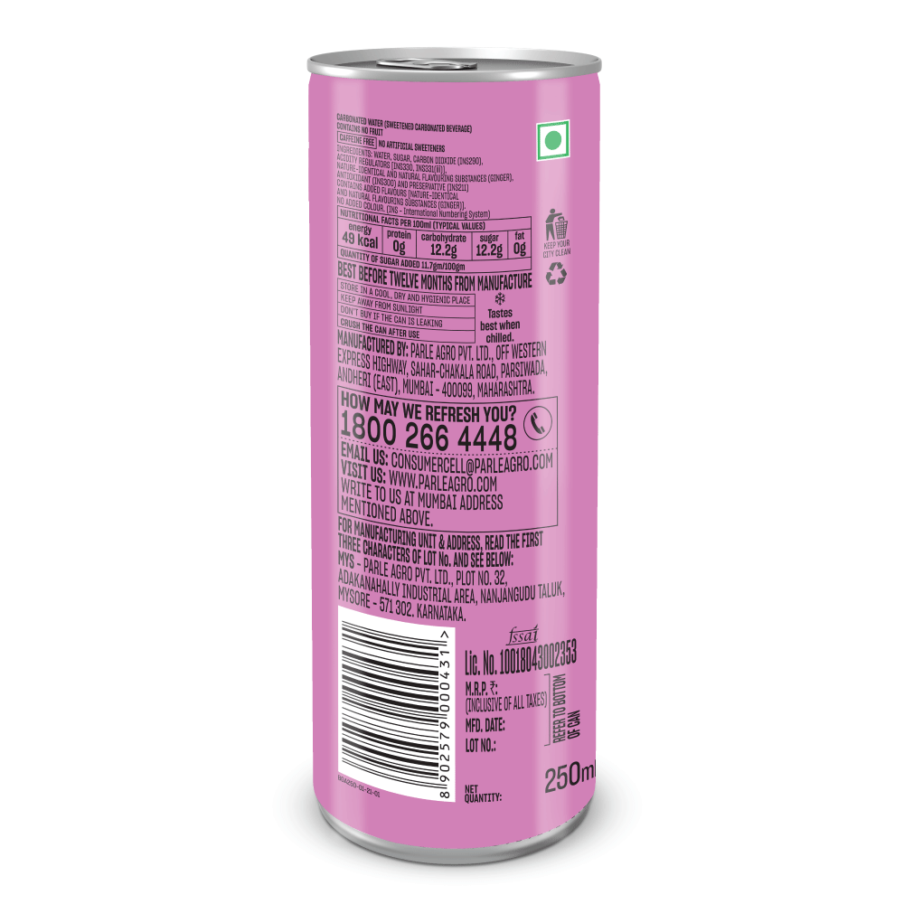 Bombay 99 Ginger Ale Can 250 ml Combo