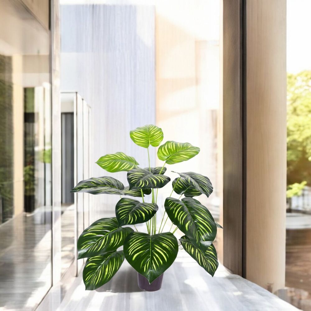 Go Hooked Artificial Plant with complimentary Nursery Pot Dual Shade Leaves Artificial 12 Leaves