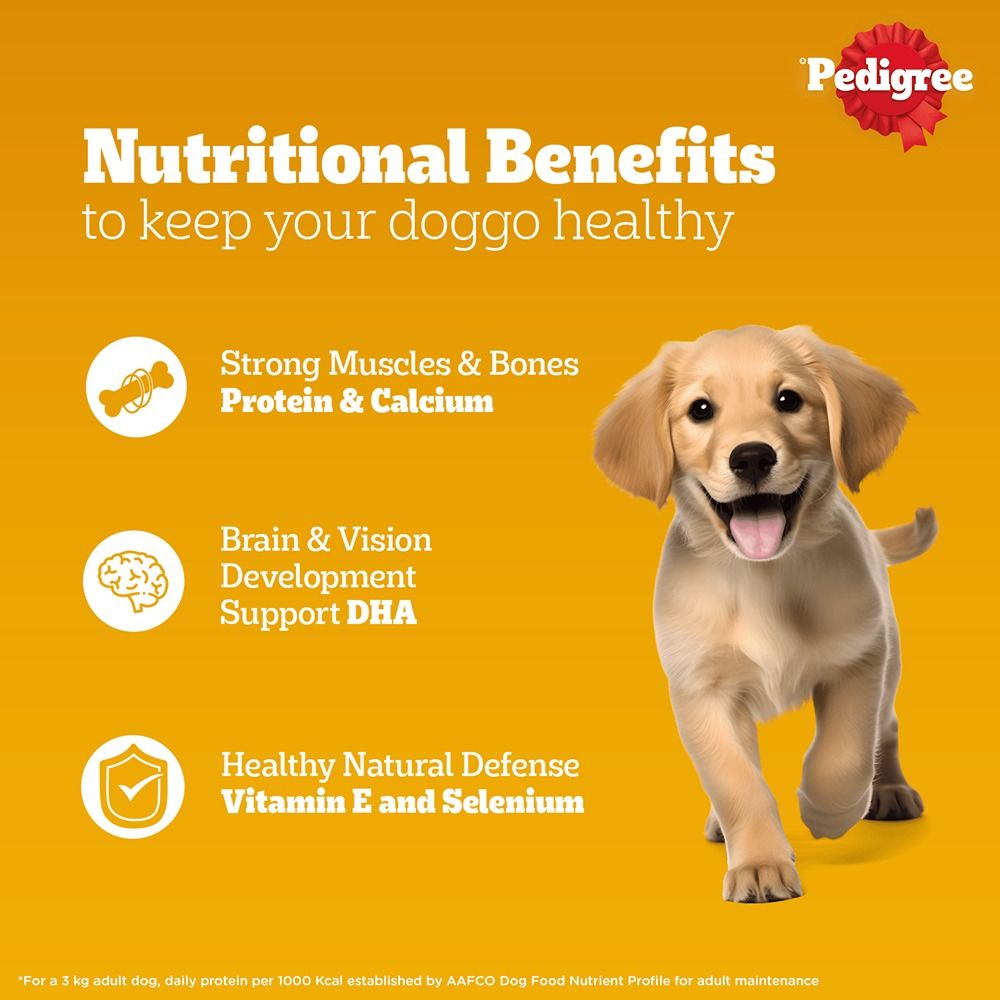 Pedigree Puppy Wet Dog Food, Chicken Chunks In Gravy 70 g Combo