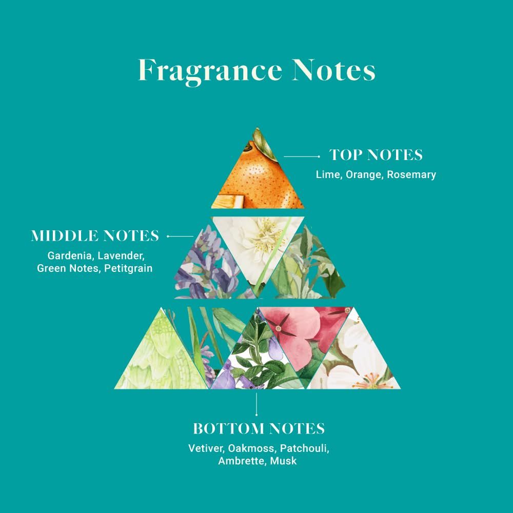 Adeha Waves Of Serenity Air Freshener | Pouch