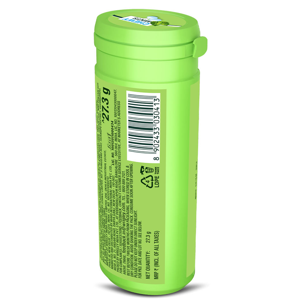Doublemint Chewy Mints Tube 30.4 g Combo