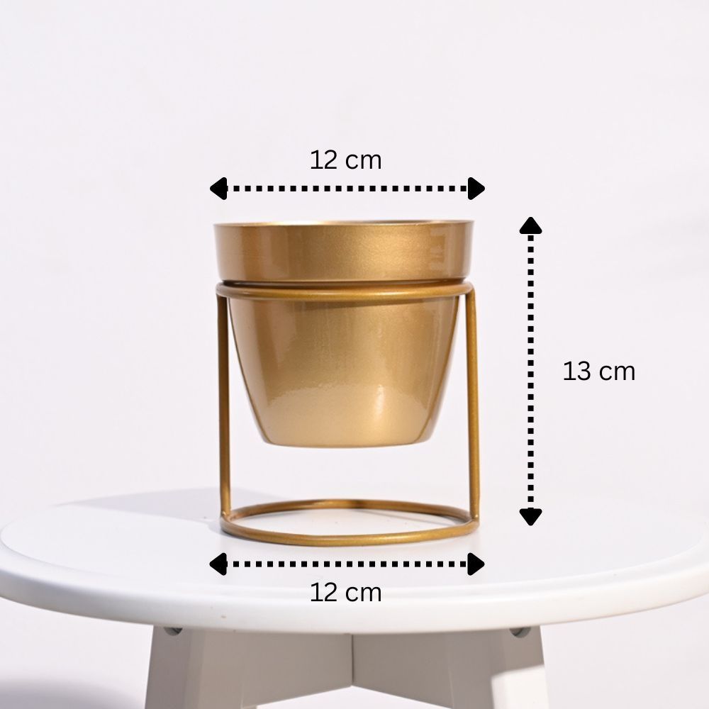 Ugaoo NYX Floor Planter for Home & Balcony Garden | Gold