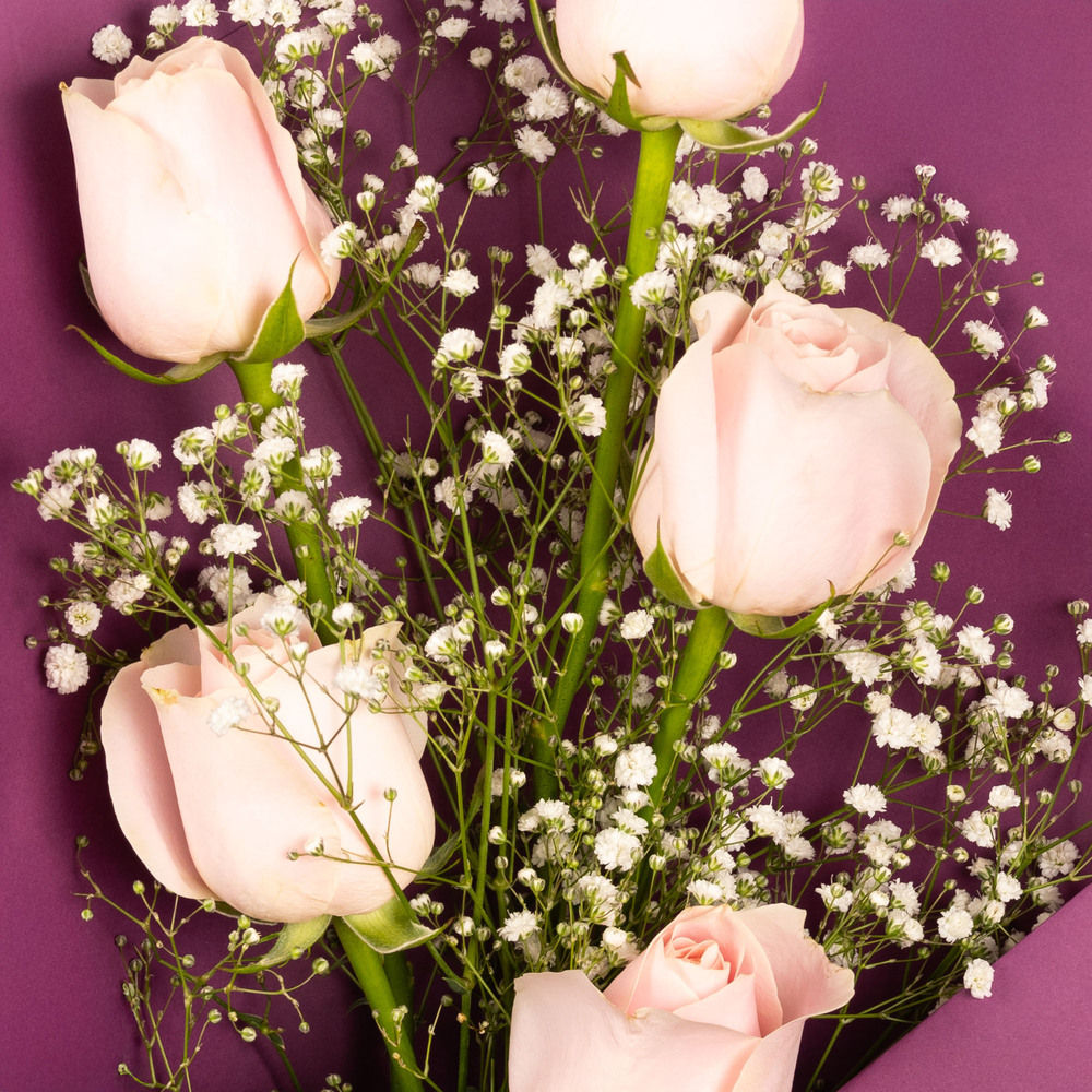 Farmerr Pink Rose Bouquet
